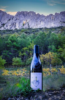 DOMAINE DES FLORETS