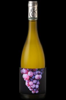 SCEA DOMAINE JF ET PL BERSAN