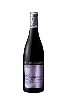 SCEA DOMAINE JF ET PL BERSAN