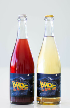 SCEA DOMAINE DE CAMBIS