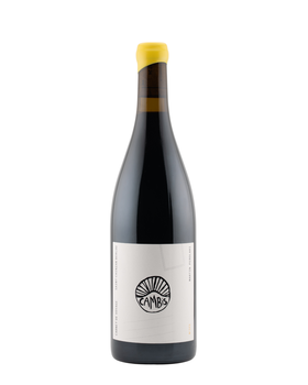 SCEA DOMAINE DE CAMBIS