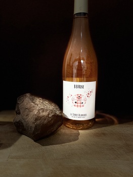 LES TERRES BLANCHES - Céline &amp; Benoit BLET