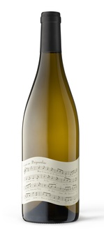 SCEA DOMAINE ALBERT DE CONTI