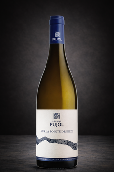 SAS DOMAINE PUJOL