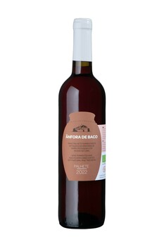 Quinta do Montalto Lda