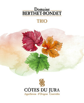Domaine Berthet Bondet