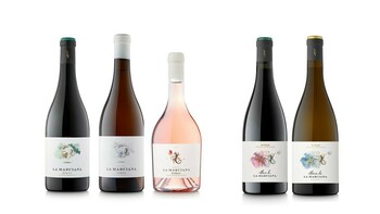 SC SERRANO ARRIEZU ANDRES MIGUEL Y JOSE RAMON