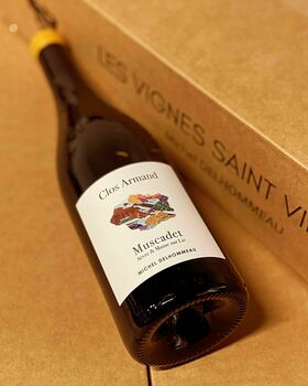 EARL les Vignes Saint Vincent