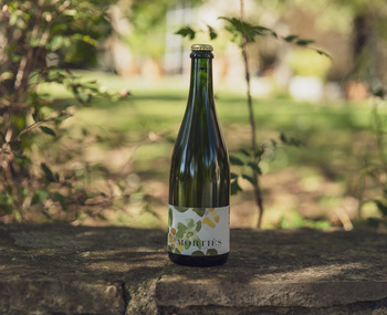 SARL Domaine de Morties