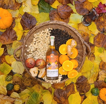 Distillerie de l&#39;ORT