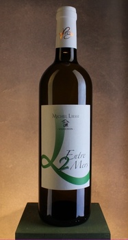 Château du Champ du Moulin