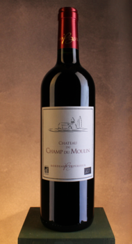 Château du Champ du Moulin