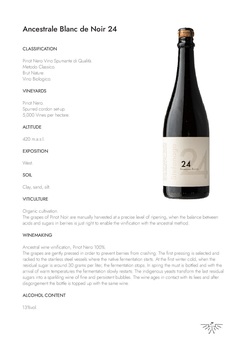 24 Ancestrale Blanc de Noir - Pinot Nero Spumante Metodo Classico Brut
