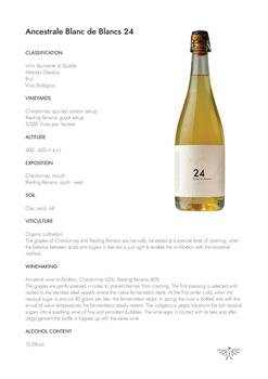24 Ancestrale Blanc de Blancs - Spumante Metodo Classico Brut
