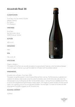 36 Ancestrale Rosé - Pinot Nero Spumante Metodo Classico Brut