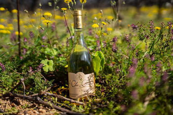 EARL LE CLOS DES COMBALS