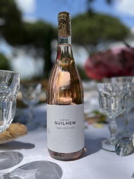 VIGNE DU LEVANT ROSE