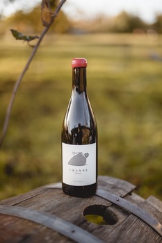 EARL Vignobles Lacoste