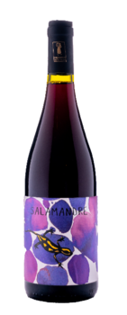 Salamandre Rouge 2023