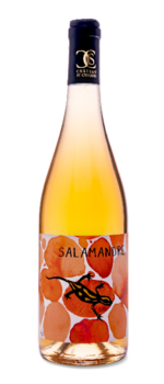 Salamandre Orange 2024
