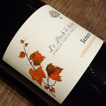 Domaine du Pech d'André