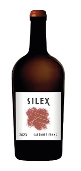 SCEA VIGNOBLES MP MASSONIE