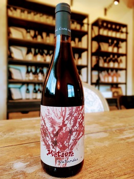 SAS Domaine du Météore