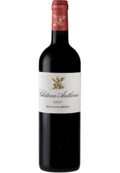 SCEA Pierre Cordonnier