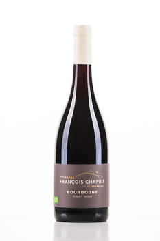 Bourgogne de Vigne en Verre