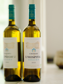 Château de l'Hospital