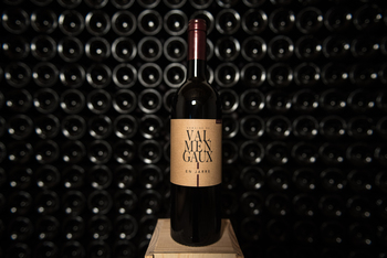 EARL NOUVEAU DOMAINE DE VALMENGAUX