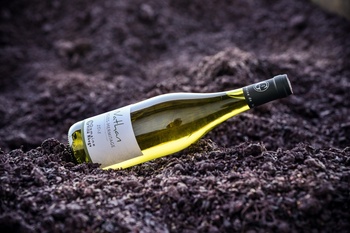 Domaine de la Ville Rouge