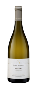 DOMAINE BERTHELEMOT BRIGITTE