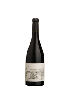 SCEA BERNARD ET LARSON