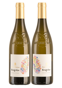 SCEA BERNARD ET LARSON