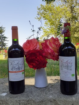 SCEA François VERDIER