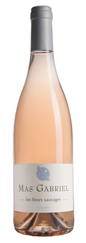 Mas Gabriel