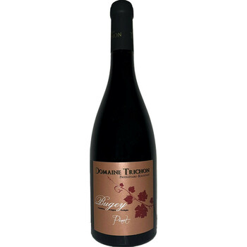 EARL Domaine Trichon