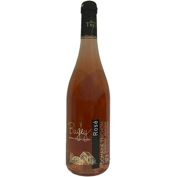 EARL Domaine Trichon