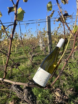 Domaine Thomas Frissant