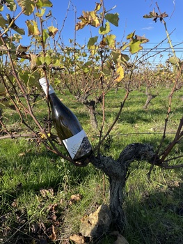 Domaine Thomas Frissant