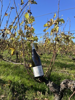 Domaine Thomas Frissant