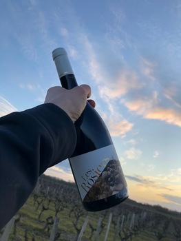 Domaine Thomas Frissant