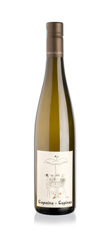 Domaine MITTNACHT FRERES