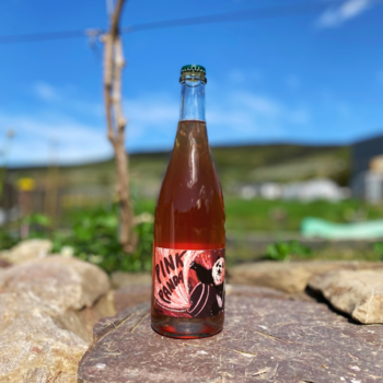 Weingut Staffelter Hof