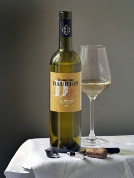 SCEA Domaine Daurion