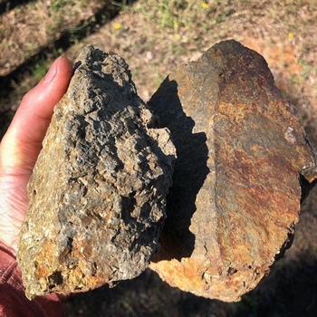 GAEC Domaine de l&#39;Auribelle