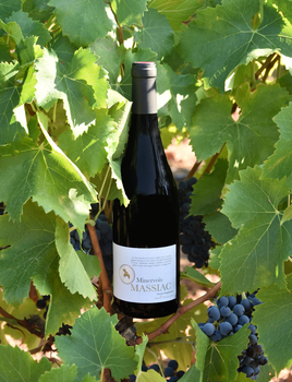 EARL CHÂTEAU MASSIAC