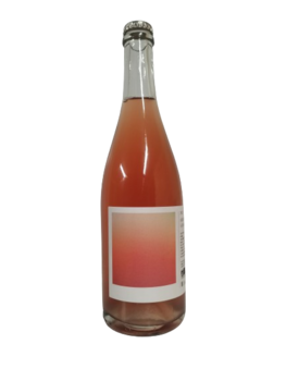 SCEA Vignobles lacoste