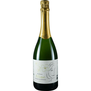 EARL Vignobles Terral F et V